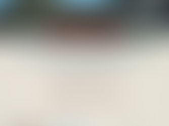 Se habilita el renovado Sector de Paleontología del Museo "Amado Bonpland"