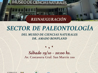 Se habilita el renovado Sector de Paleontología del Museo "Amado Bonpland"