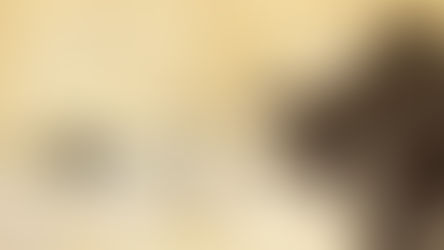 Joe Dever's Lone Wolf HD Remastered