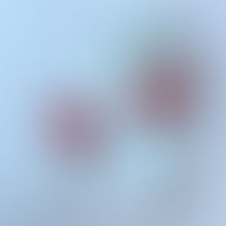 Case Study: Ou Game – Amos Rex