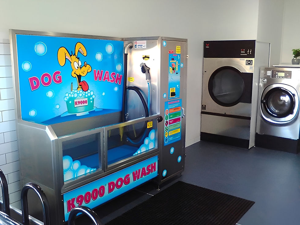 Self-service dog wash and commercial washer at The Wash Stop Laundromat Woronora Heights