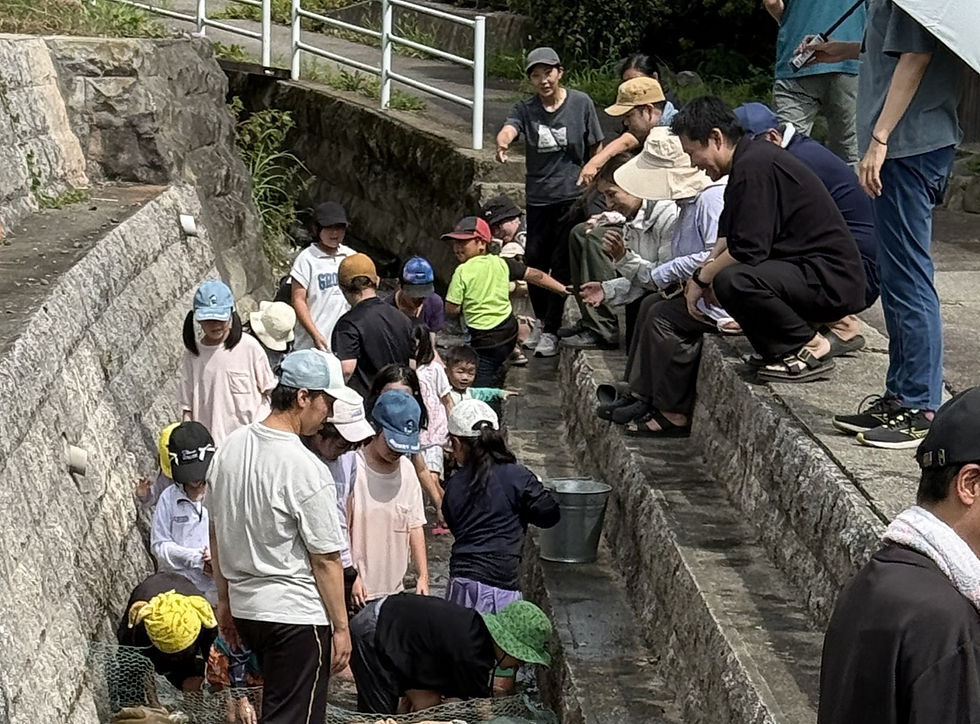 川で魚を捕る子供たち