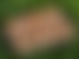 Locally Farmed Goodness: Order Pasture-Raised Eggs Online