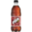Pibb xtra (20 oz Plastic Bottle)