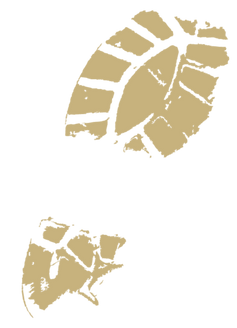 17_edited.png