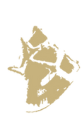 17_edited.png
