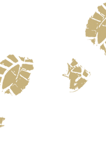 17_edited.png