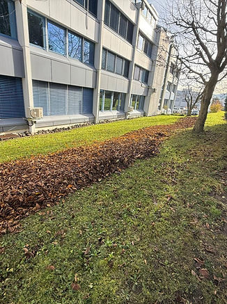 WhatsApp Image 2025-11-17 at 18.44.34.jpeg