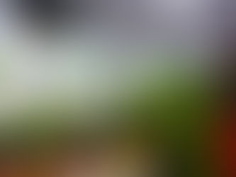 Biofábrica da Bahia participa do Chocolat Festival, em Ilhéus-Ba.