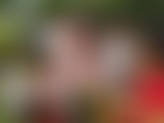 Biofábrica no Dia das Crianças