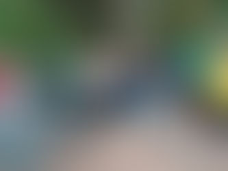 Parceria Biofábrica, SDR e PAT Mandiocultura tem revolucionado a cultura da mandioca no Extremo Sul