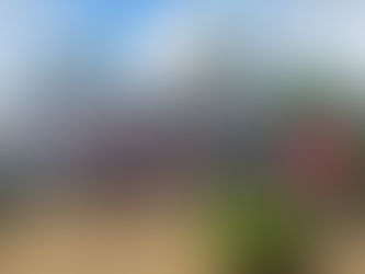 Dia de Campo no município de Ilhéus