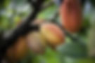 WhatsApp Image 2025-05-12 at 16.03.06.jpeg