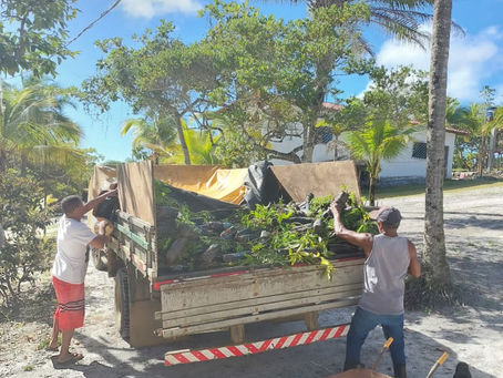 Biofábrica faz primeira entrega de mudas de essências florestais para aldeia indígena...