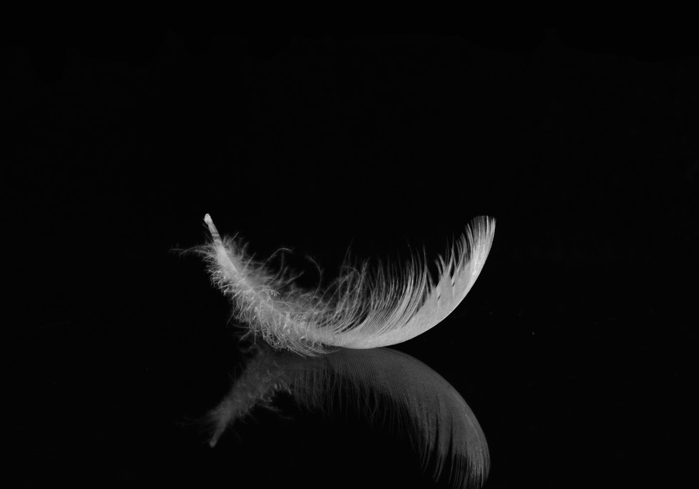 feather mirrored 2021.jpg