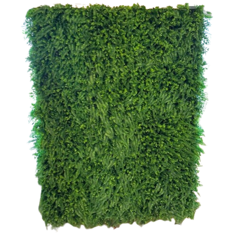 Hedge Wall