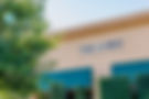 THE HIVE NEW 1.jpg