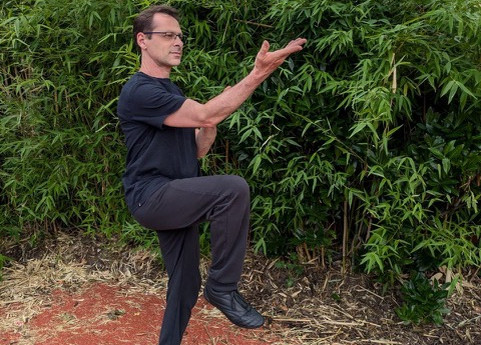 Cours de Qi Gong au foyer Oberlin à Lingolsheim