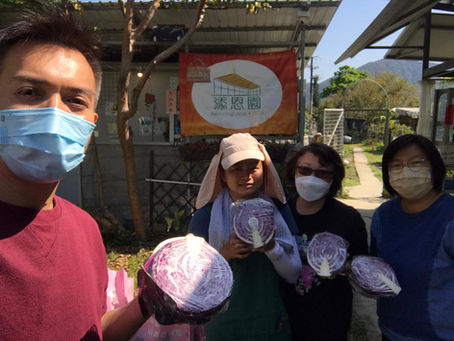 「義種義送」招募義工 為基層家庭種菜