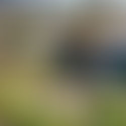 Hondureños salen a gritar mientras JOH es llevado a la prisión