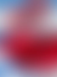 Partido Liberal ratifica apoyo a Diputado de Libre para que Ocupe la Presidencia del CN