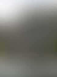 Giran orden de captura contra Juan Orlando Hernández, policía se apresta a detenerlo.