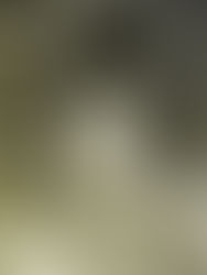 ¡Un día como hoy! Nace Chespirito en México