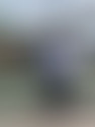 ¡Esto se puso Chido!