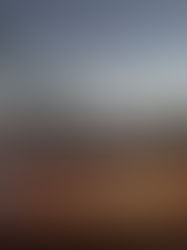 Comunidad Indigena podría ser desalojada de sus tierras