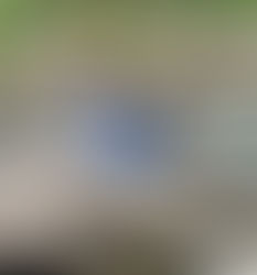 OACNUDH lamenta el fallo emitido contra los defensores del río Guapinol 