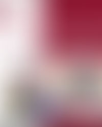 CNA descubre nombramientos irregulares ejecutados por la exministra Alba Consuelo Flores 