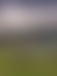 Asi avanzan los preparativos a cinco días para la Toma de Posesión 