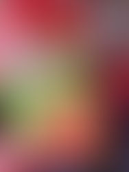 Luisito Comunica ya está degustando churros “Zambos” y la bebida copaneca “Copan Dry”. 