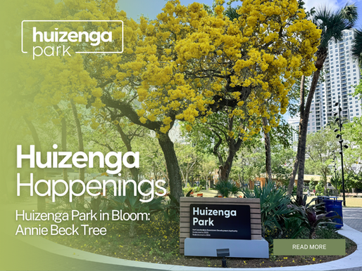 Huizenga Park in Bloom Annie Beck Tree with vibrant blossoms overlooking the waterfront in downtown Fort Lauderdale
