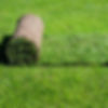 Turf