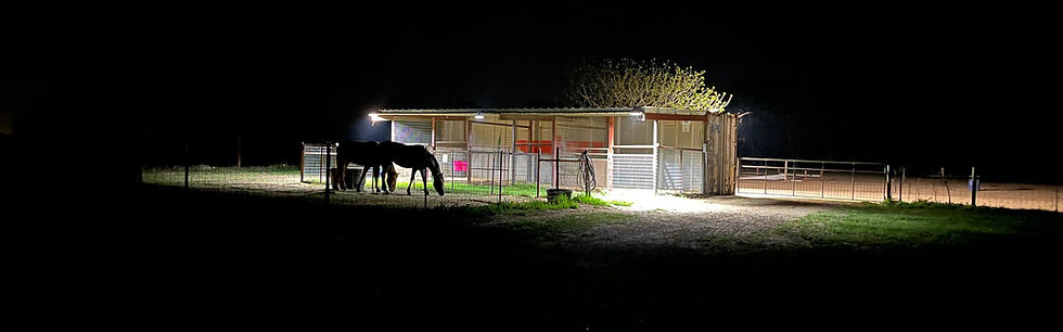 Night lights back stalls.jpg