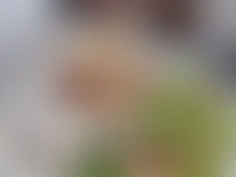 Lunchspecial: Italiaanse bol met pulled chicken