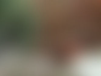 Fazant bij de Tuinkamer van Het Veerhuis Bokhoven
