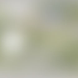 Fort Ben Cultural Campus Project Ahead of Schedule