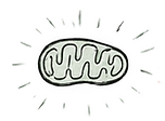 523e21b9-f601-4d24-8ae0-b4ad0a2eef9a_edited.png