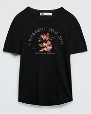 IMG_5234.PNG
