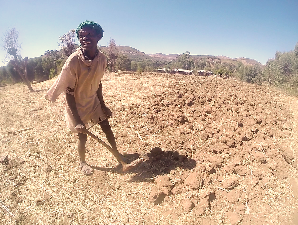 Salomon, a farmer of Gondar