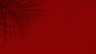 AEnB2Upk08lsdrLtA9nqZeMuEzJ63m6LGvHU5t6zyqfFwQm-S-g6attmMbHFIQVK2gxH2HXzpLU4DwplD7C9zqudHh