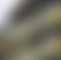 Elevating Worker Living Standards: Support Through Singapore’s Dormitory Transition Scheme (DTS)