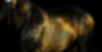 golden horse 2.jpg