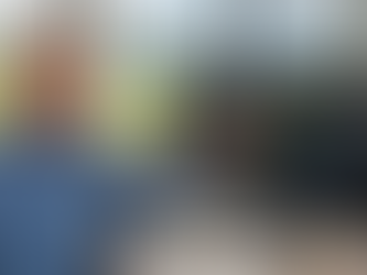 The NZ Excel Authority: Strategic Data Solutions for Local Business