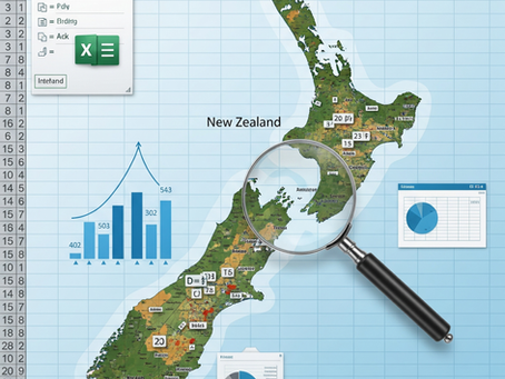 New Zealand's Trusted Excel Specialists: That's XLS Experts