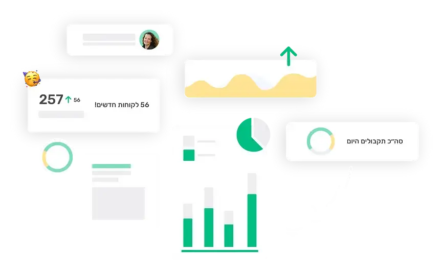 דוחות לניהול העסק