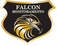 falcon