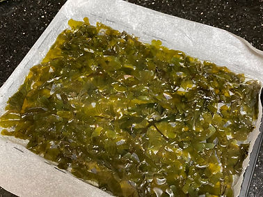 WhatsApp Image 2023-05-06 at 8.12.19 PM.jpeg